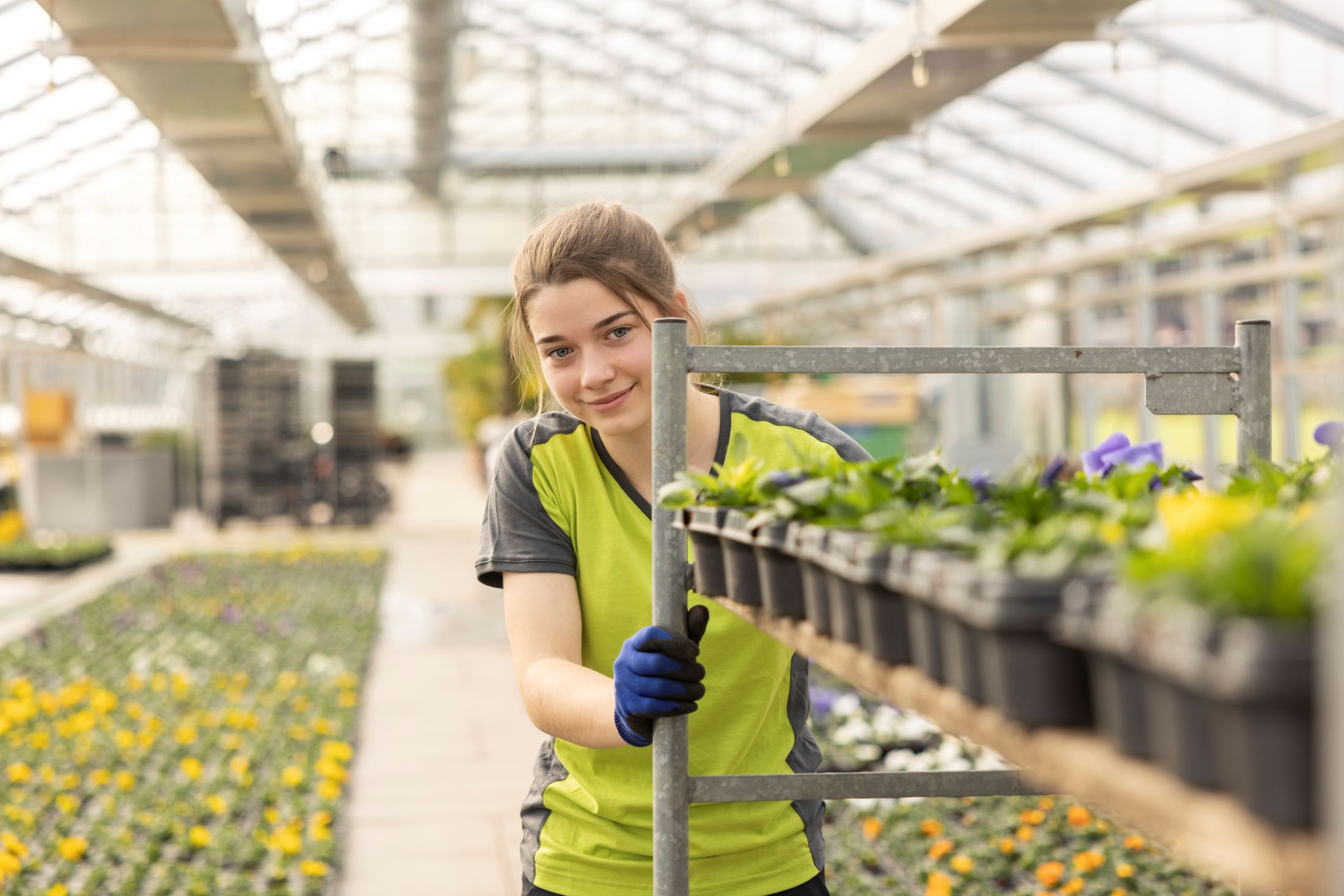 Produzione di piante AFC